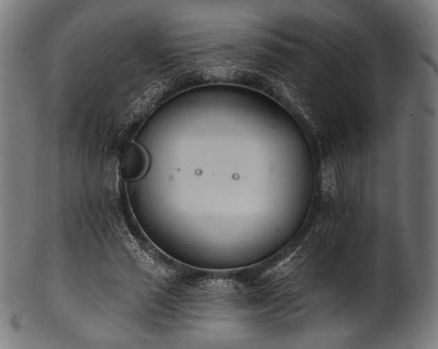 X0000100960637200806241528