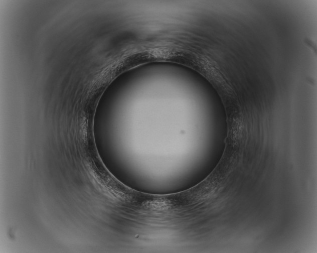 X0000100960639200806241528