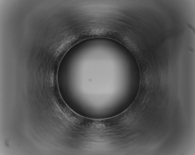 X0000100960640200806241528
