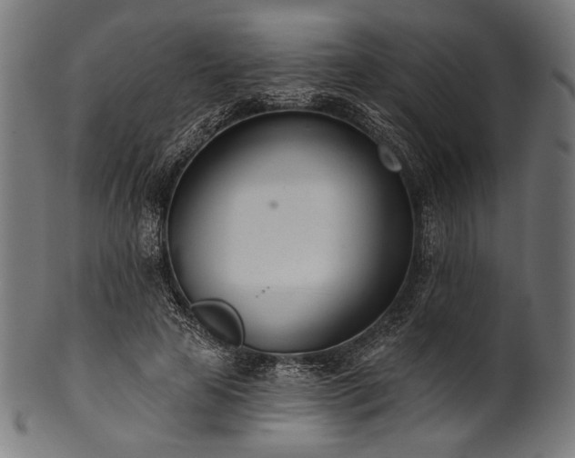 X0000100960641200806241528