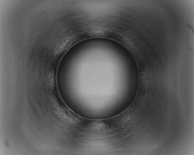 X0000100960642200806241528