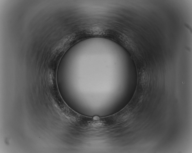 X0000100960643200806241528