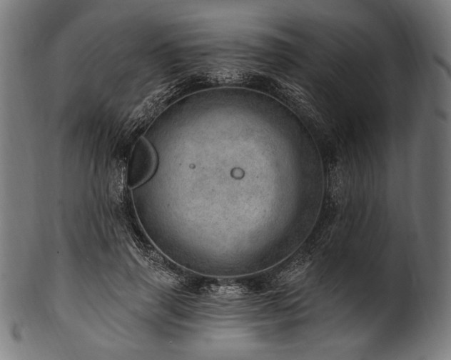 X0000100960645200806241528