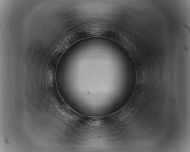 X0000100960646200806241528