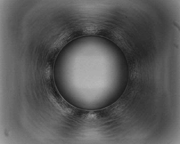 X0000100960647200806241528