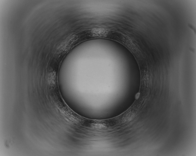 X0000100960649200806241528