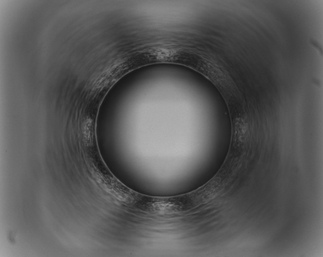 X0000100960650200806241528
