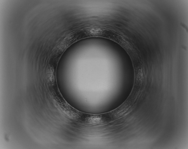 X0000100960651200806241528