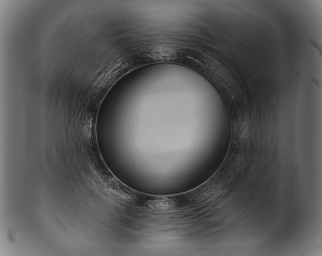 X0000100960652200806241528