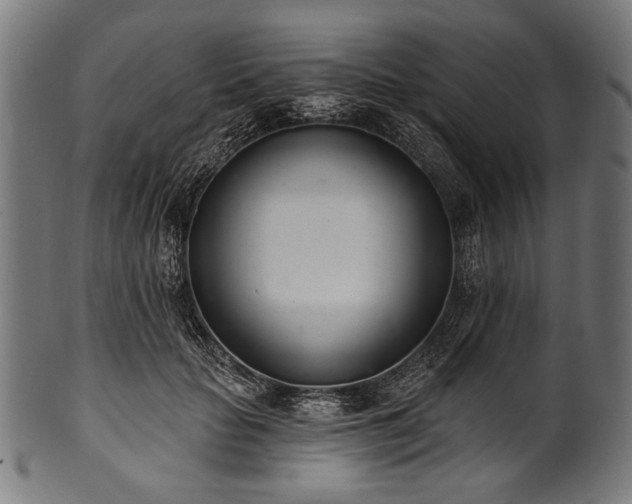 X0000100960653200806241528