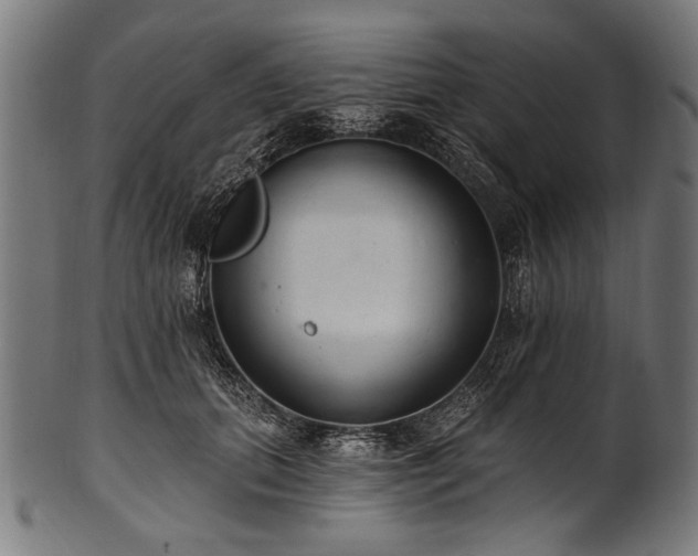X0000100960655200806241528