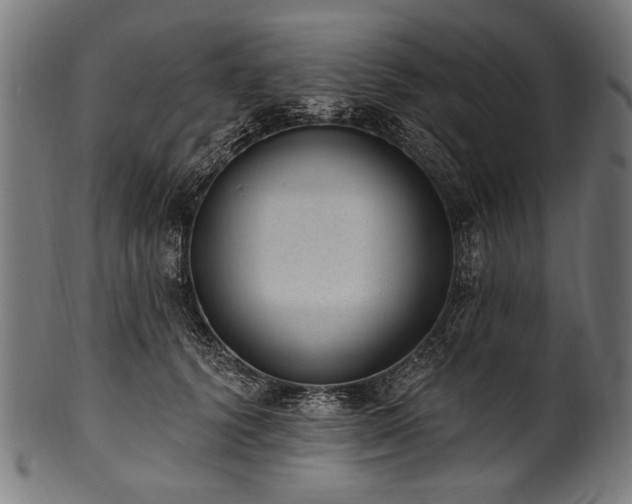 X0000100960656200806241528