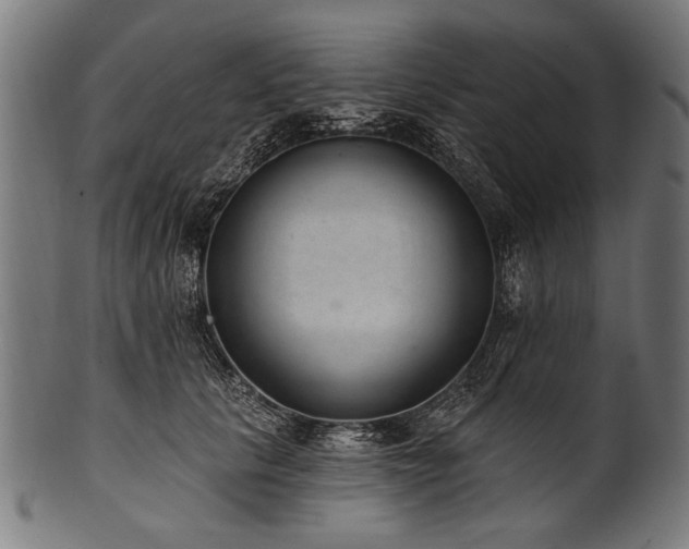 X0000100960657200806241528