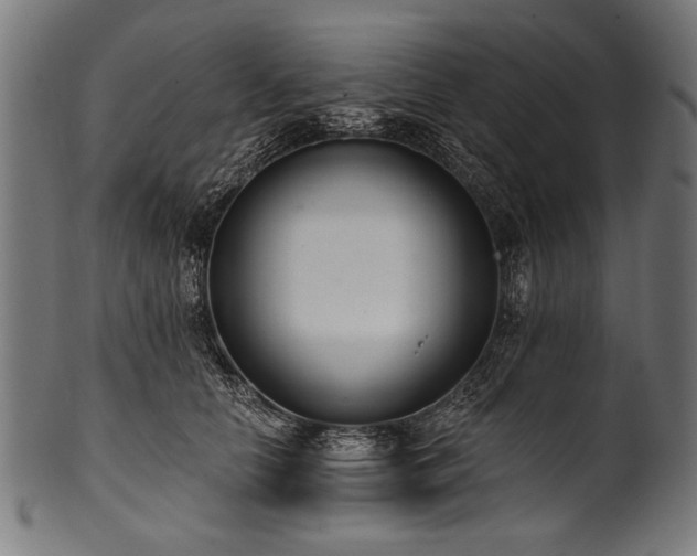 X0000100960658200806241528
