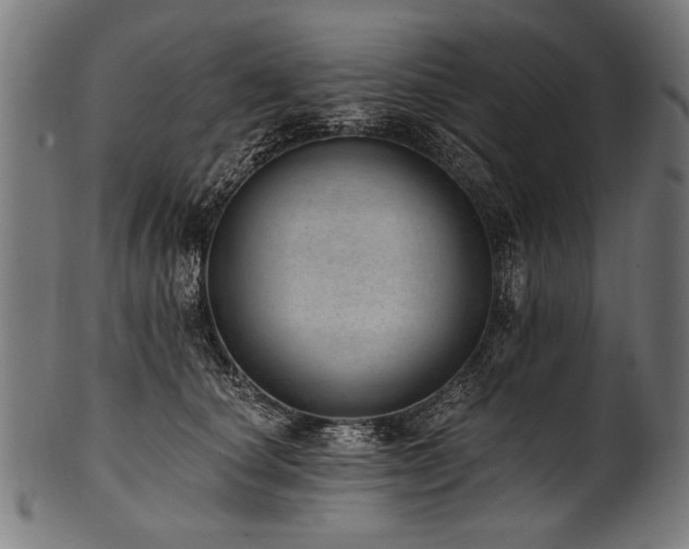 X0000100960660200806241528