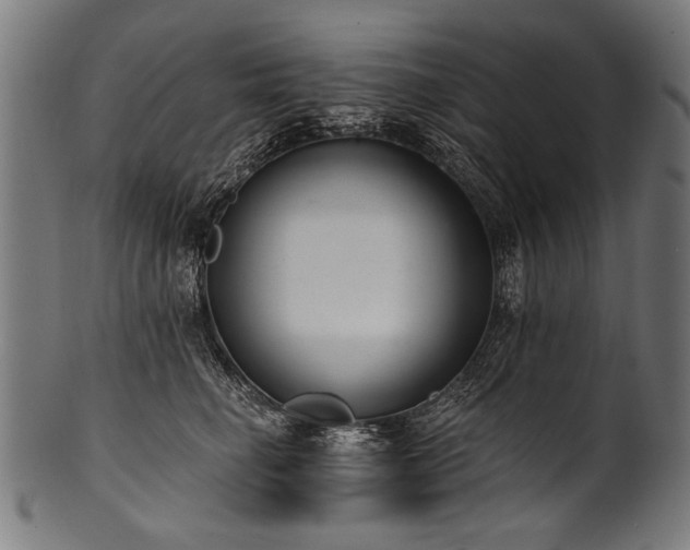 X0000100960662200806241528