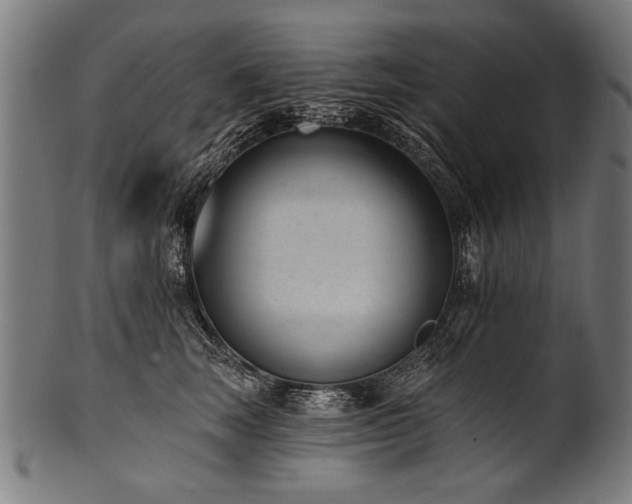 X0000100960663200806241528