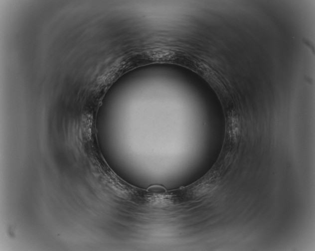 X0000100960664200806241528