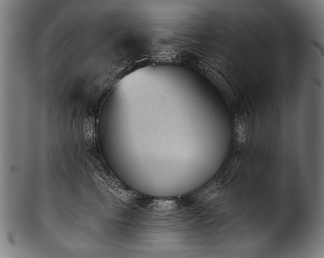 X0000100960665200806241528