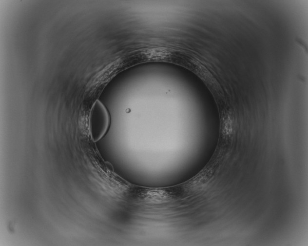 X0000100960666200806241528