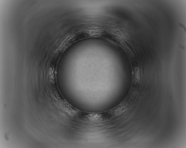 X0000100960667200806241528