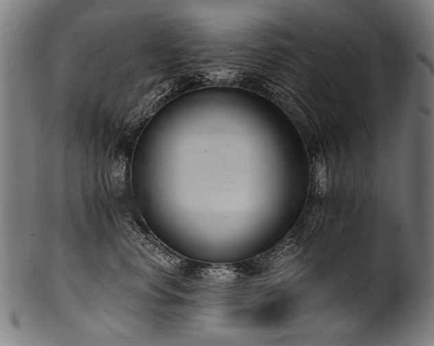 X0000100960668200806241528