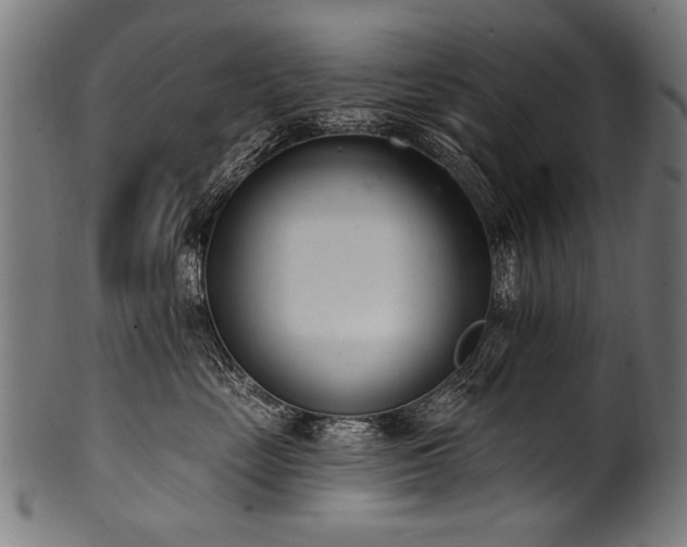 X0000100960669200806241528