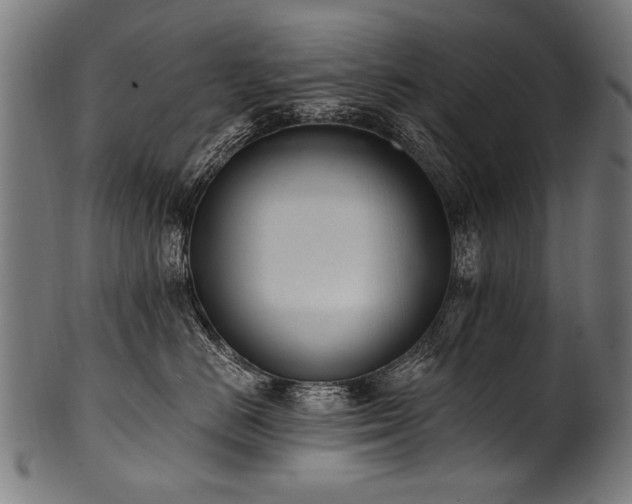 X0000100960670200806241528