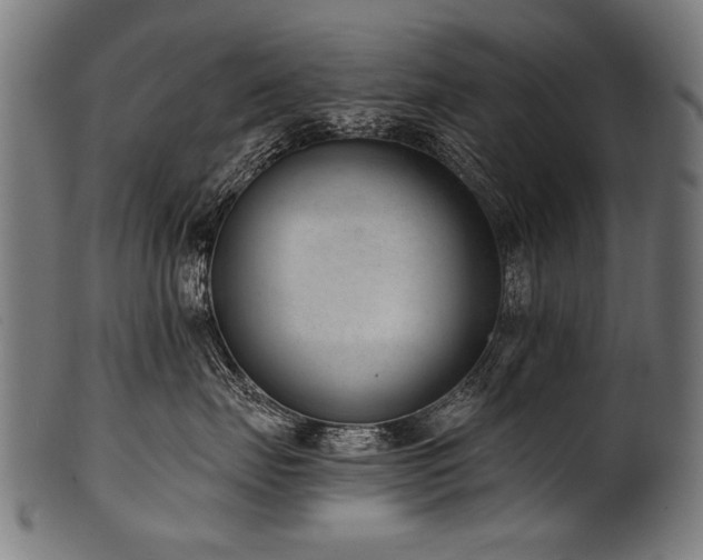 X0000100960671200806241528
