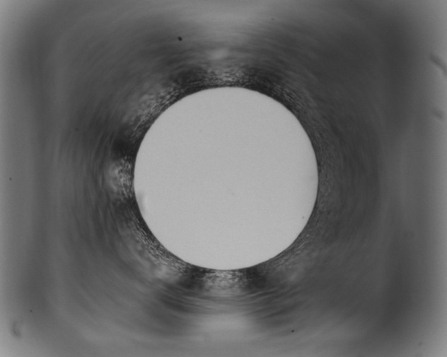 X0000100960672200806241528