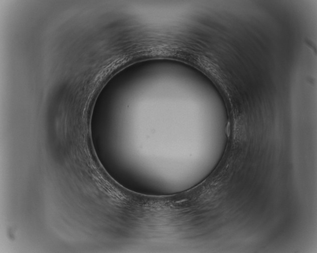 X0000100960673200806241528