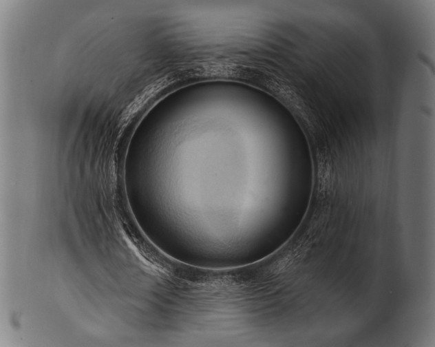X0000100960674200806241528