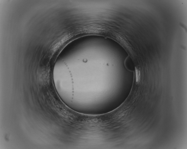 X0000100960675200806241528