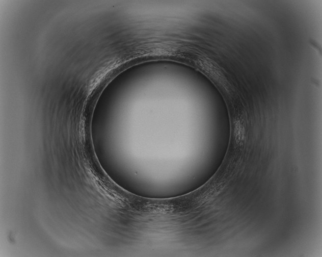 X0000100960676200806241528