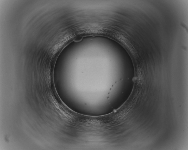 X0000100960677200806241528