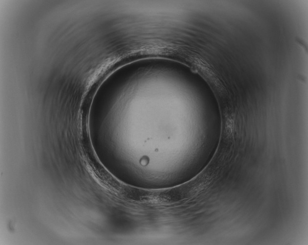X0000100960678200806241528