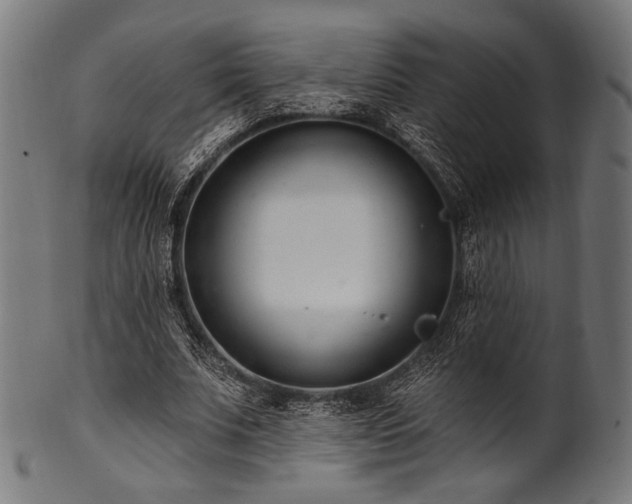 X0000100960679200806241528
