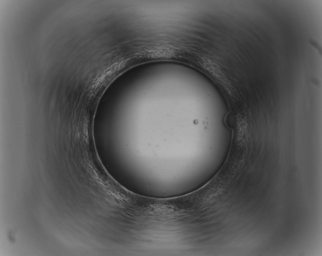 X0000100960681200806241528