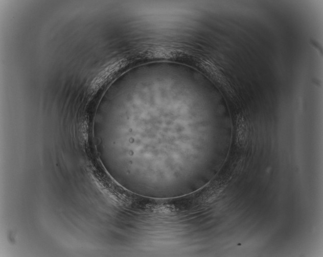 X0000100960683200806241528