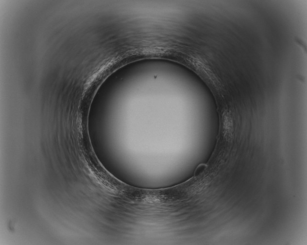 X0000100960684200806241528