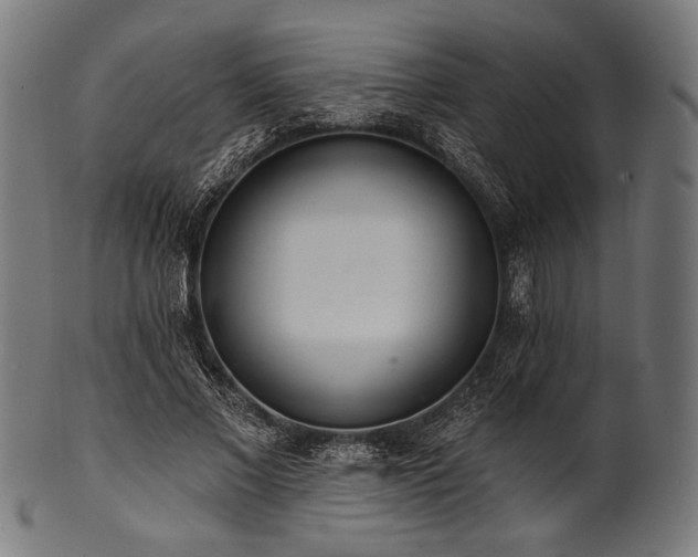 X0000100960685200806241528