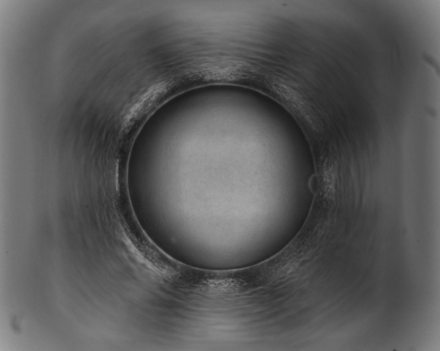 X0000100960686200806241528