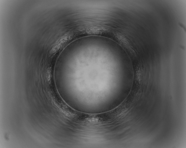 X0000100960687200806241528