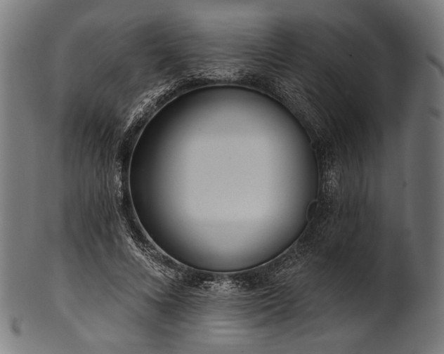 X0000100960688200806241528