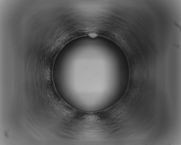 X0000100960689200806241528