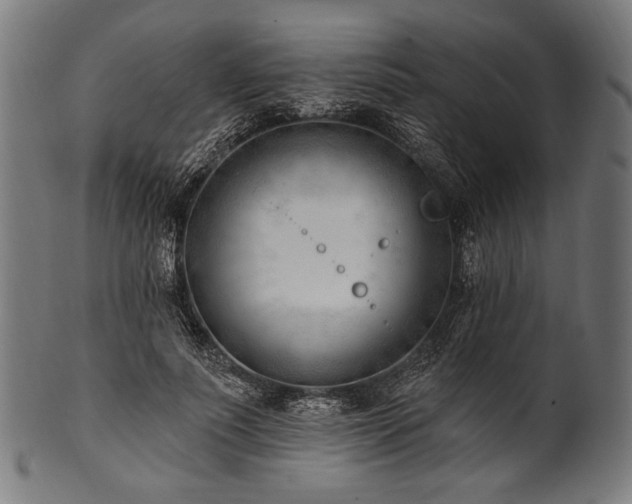 X0000100960691200806241527