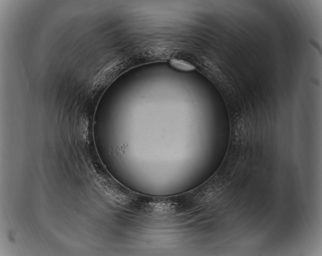 X0000100960693200806241527
