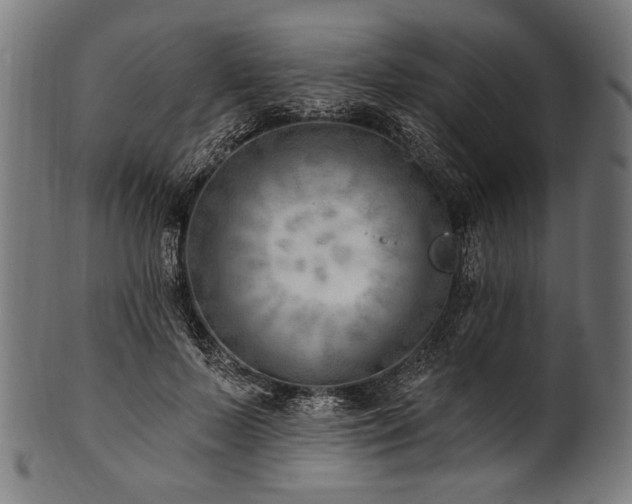 X0000100960695200806241527