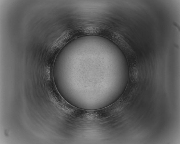 X0000100960696200806241527