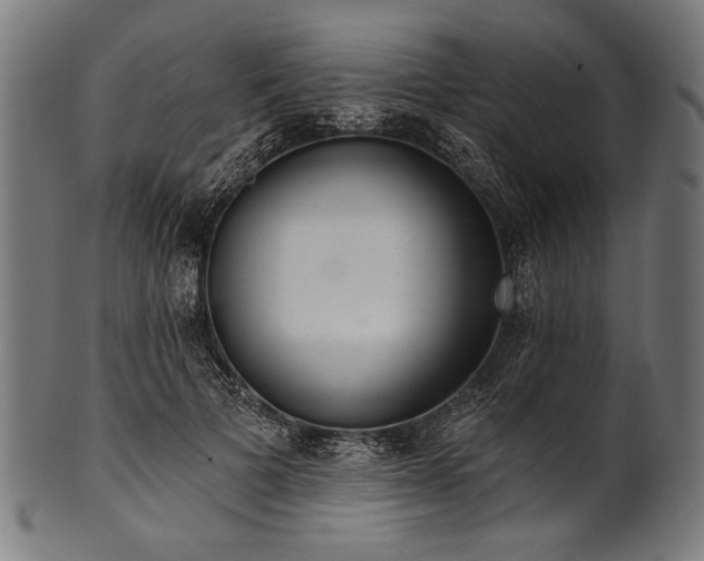 X0000100960697200806241527